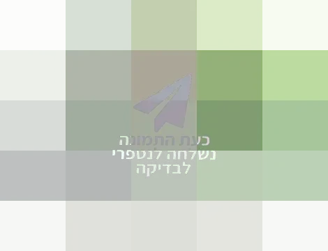 לוגו
